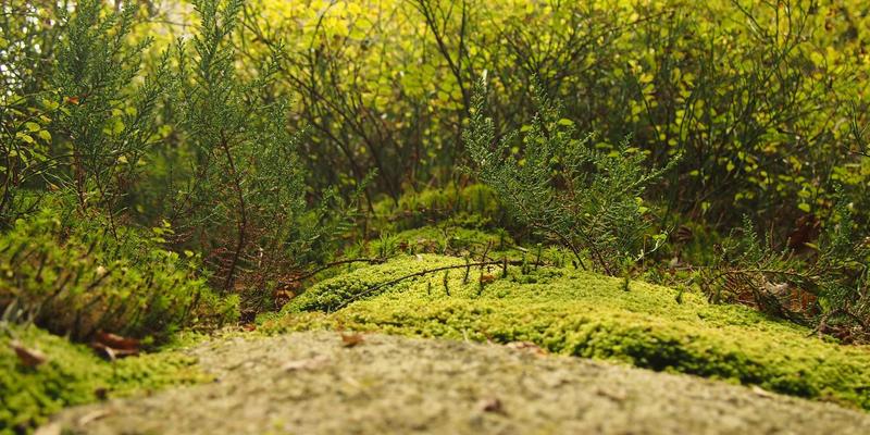 0755太阳能49：绿色能源新选择，高效太阳能板引领可持续发展
