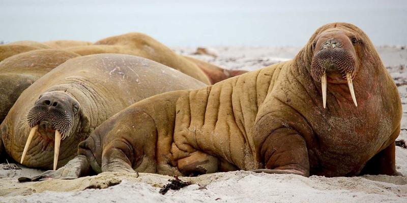0755太阳能：解码深圳光伏产业的技术创新与产品生态