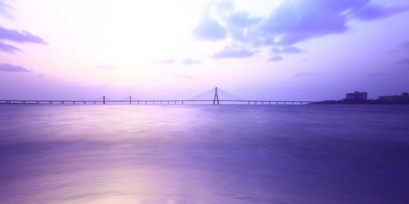 深圳农业大棚光伏互补项目开发要点：0755太阳能与现代农业的共赢之道