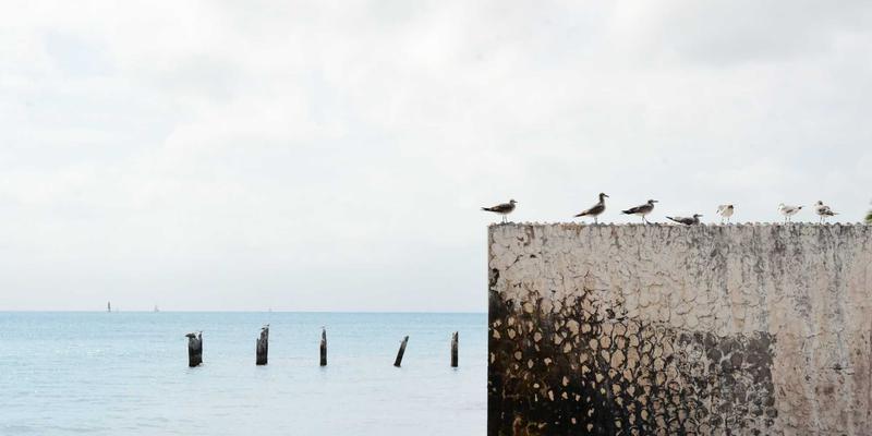 深圳别墅太阳能+储能一体化解决方案设计：打造绿色智能能源系统