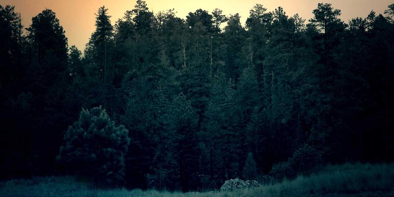 深圳太阳能光伏与建筑节能一体化（BAPV）设计案例深度解析：绿色能源如何赋能现代建筑