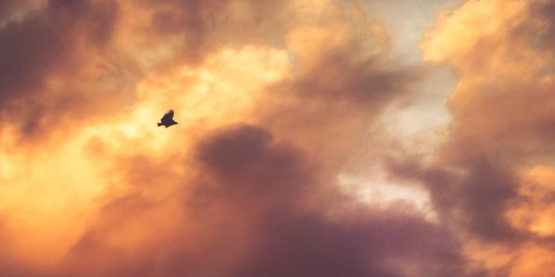 深圳太阳能路灯在市政工程中的应用与智能控制方案解析