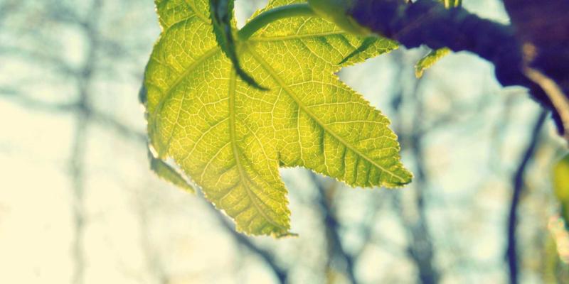 深圳工业园区分布式光伏电站：智能监控与能效管理如何驱动绿色能源革命